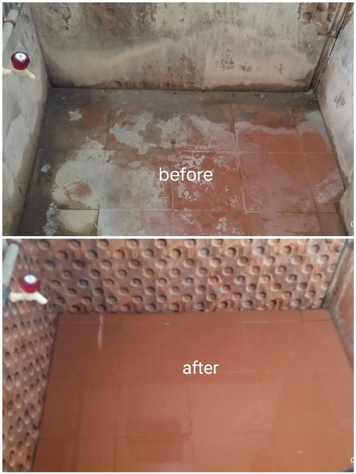 WhatsApp Image 2025-01-02 at 7.35.55 PM.webp